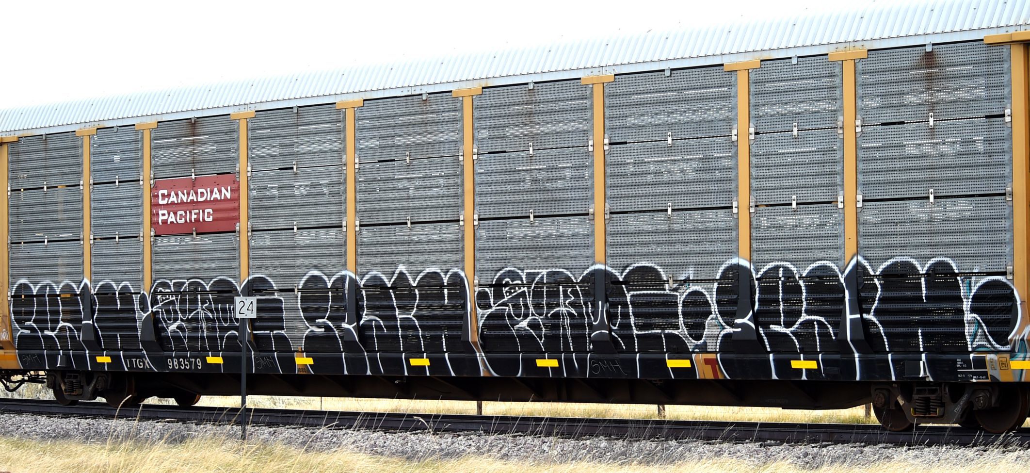Graffiti rail cars